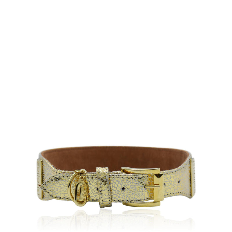 Gold and brown luxury leather collar