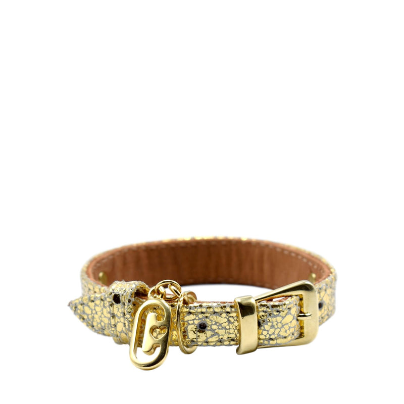 Gold cat outlet collar